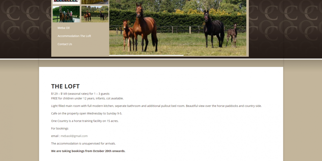 New website for One Country