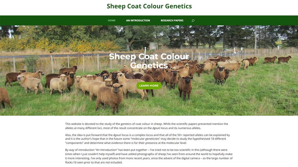 Sheep Coat Colour Genetics